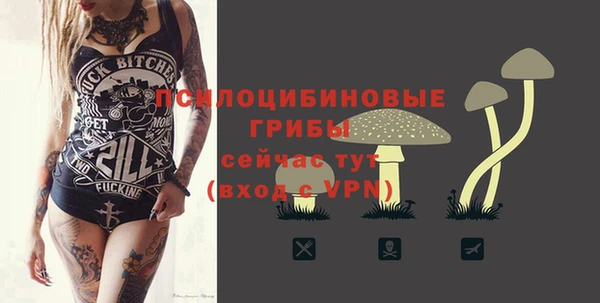дурь Богородск